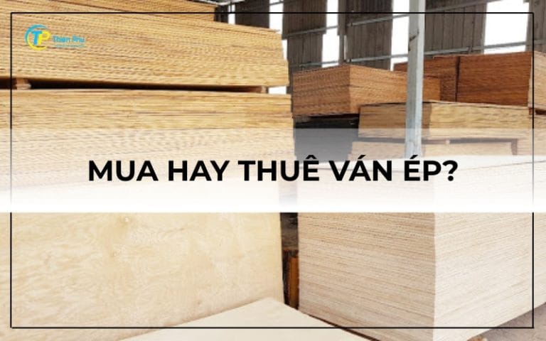 Mua hay thuê ván ép – Giải pháp nào tối ưu?